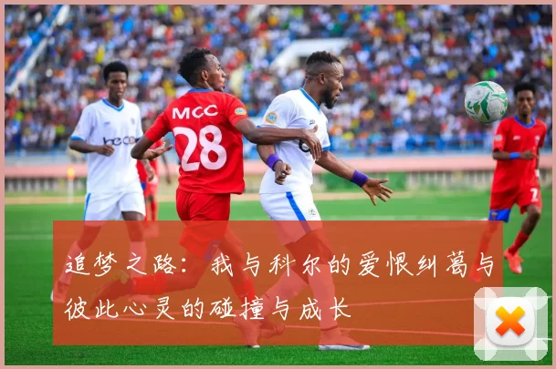追梦之路：我与科尔的爱恨纠葛与彼此心灵的碰撞与成长